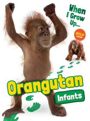 cover image of Orangutan Infants